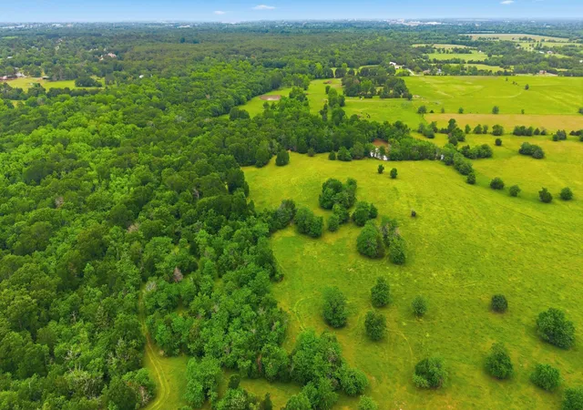 Land for sale at 7635 County Road 4209, Campbell, TX 75422 | MLS# 21264691