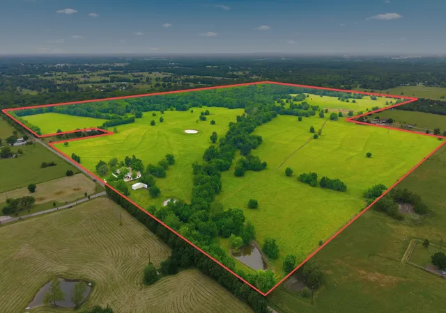 Photo 2 of Land for sale at 7635 County Road 4209, Campbell, TX 75422 | MLS# 21264691 | Listing updated on 2026-09-28