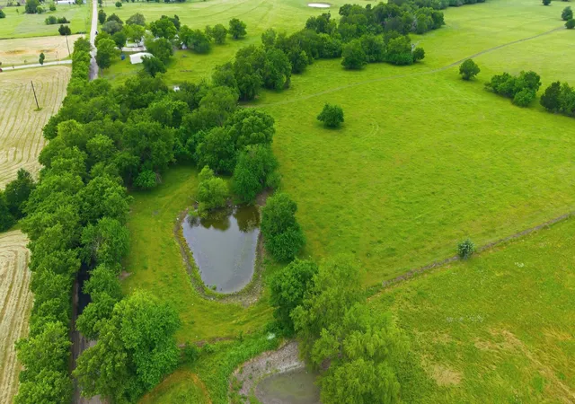Photo 4 of House for sale at 7635 County Road 4209, Campbell, TX 75422 | MLS# 21264691 | Listing updated on 2026-09-28