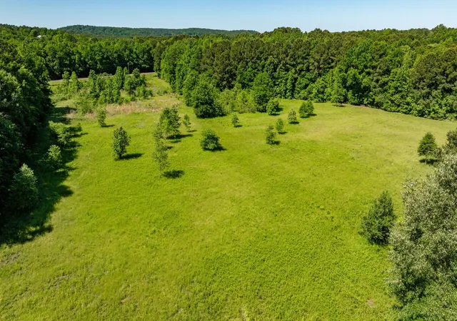 Homes for sale in Pittsburg, TX | Tbd Fm 557, Pittsburg, TX 75686 | MLS# 21264742
