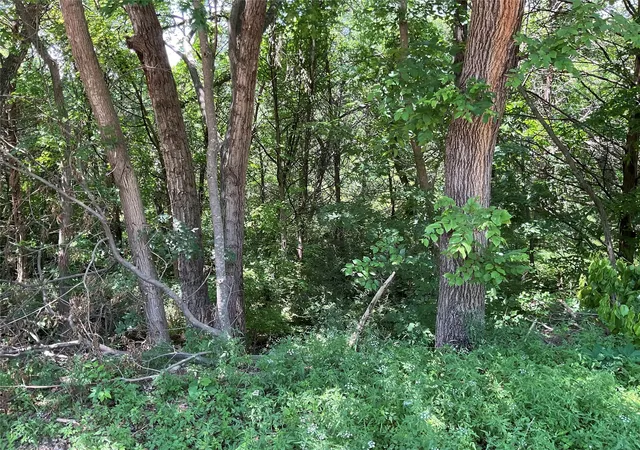 Photo 4 of Land for sale at 41 Wyndmere Dr, De Soto, TX 75115 | MLS# 21264835 | Listing updated on 2026-08-24