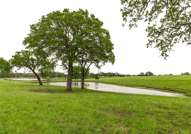 Photo 39 of Single family home for sale at 5531 Ne County Road 3130, Kerens, TX 75144 | MLS# 21264765 | Listing updated on 2026-08-24