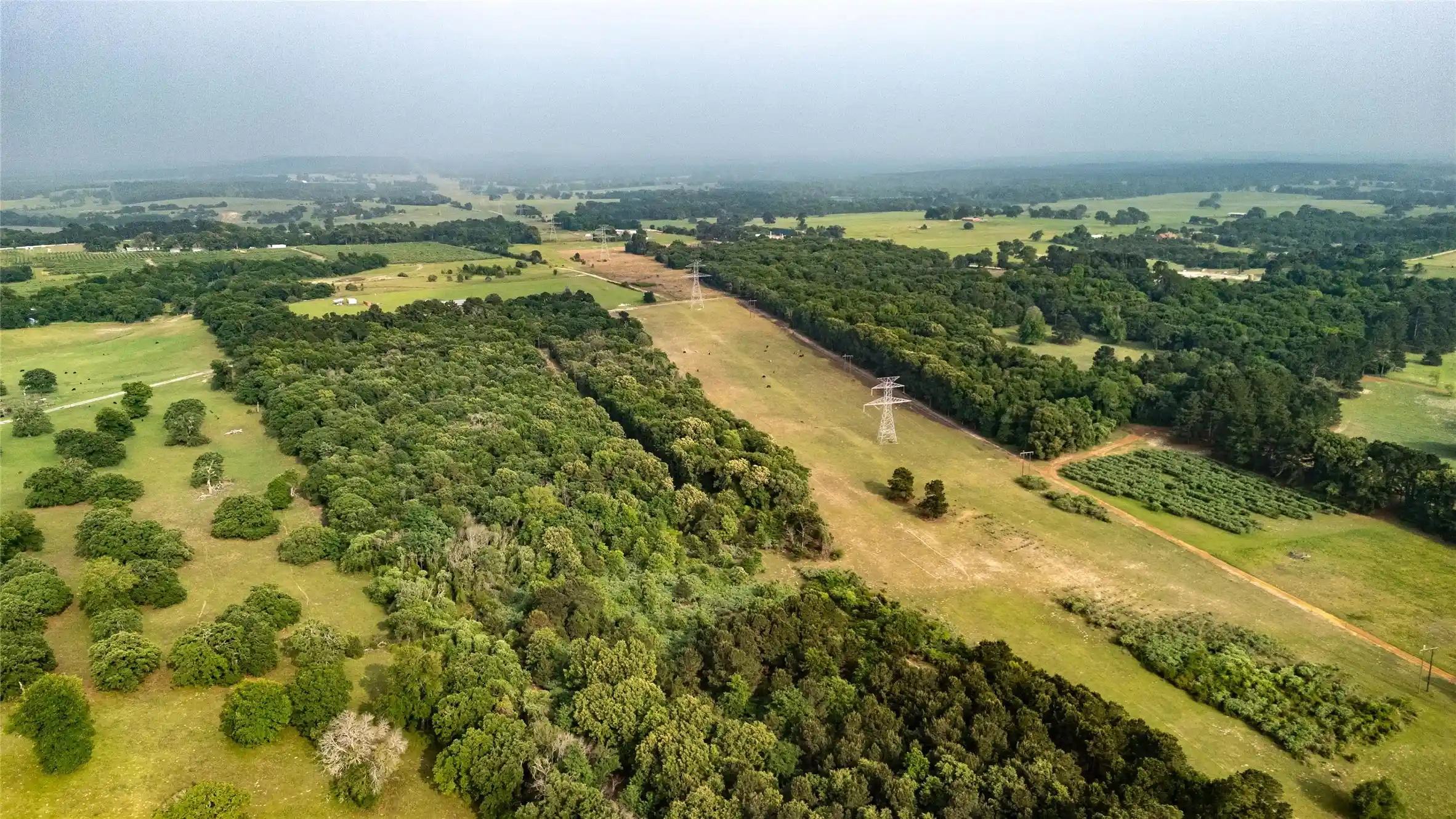 Photo 1 of Land for sale at 000 County Road 4520, Larue, TX 75770 | MLS# 21265449 | Listing updated on 2026-05-09