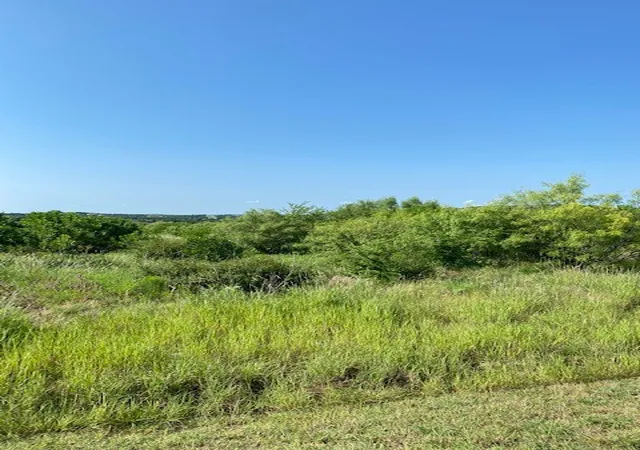 Homes for sale in Possum Kingdom Lake, TX | Lot 203 Evening Primrose Dr, Possum Kingdom Lake, TX 76449 | MLS# 21265666