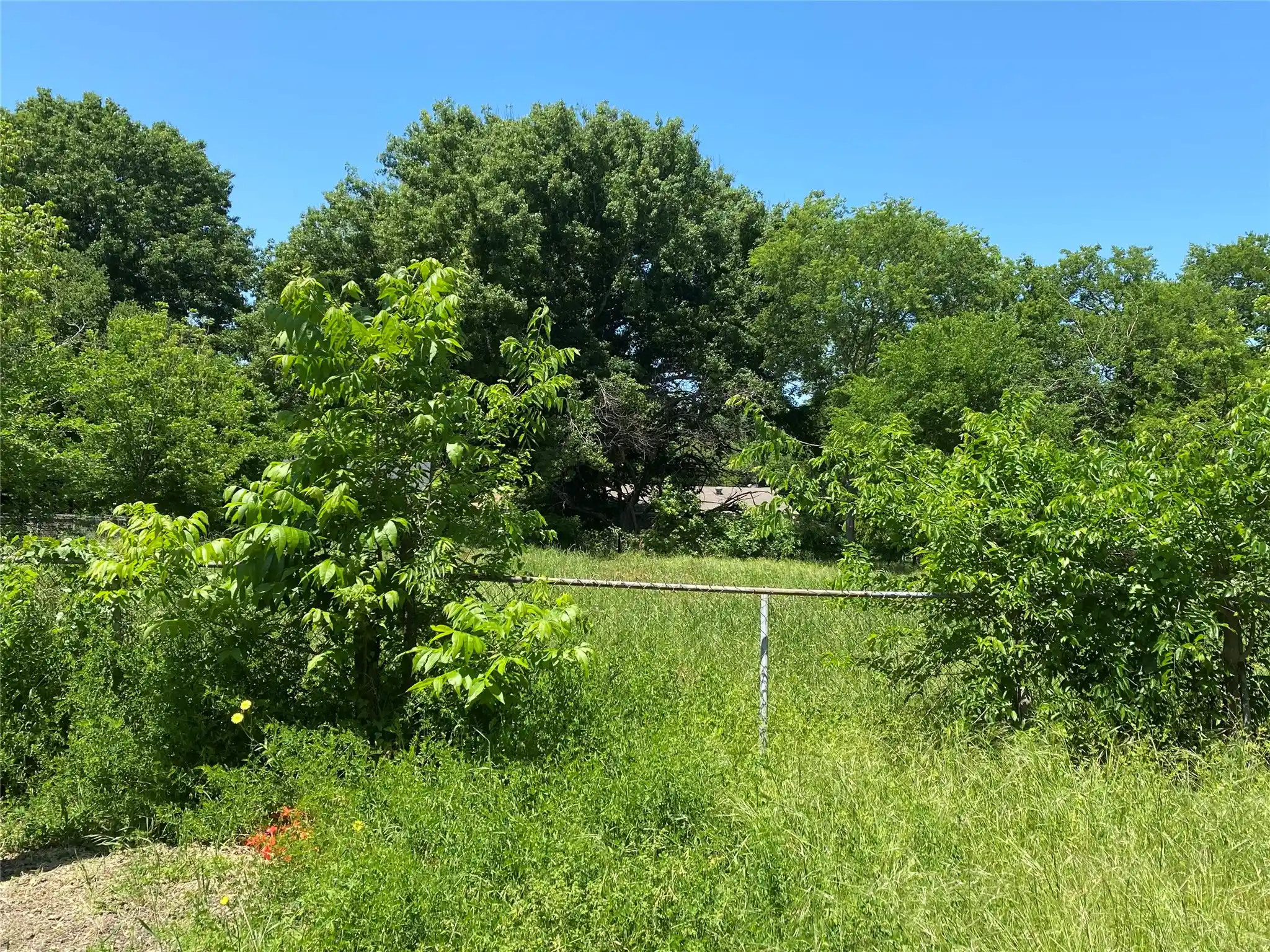 Photo 1 of Land for sale at 2016 W 13th Ave, Corsicana, TX 75110 | MLS# 21265636 | Listing updated on 2026-05-09