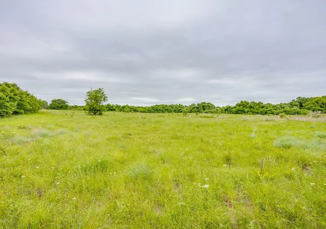 Homes for sale in Perrin, TX | 4180 E Fm 2210 E, Perrin, TX 76486 | MLS# 21265765