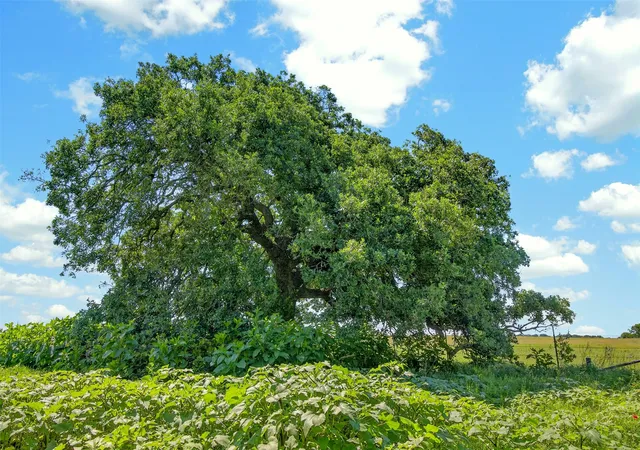 Photo 3 of Land for sale at Tbd Cr 144, Cisco, TX 76437 | MLS# 21264134 | Listing updated on 2026-10-06