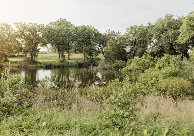 Homes for sale in Gordonville, TX | 137 Yucatan Village Ct, Gordonville, TX 76245 | MLS# 21266451