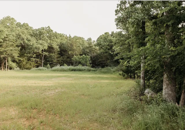 Homes for sale in Gordonville, TX | 137 Yucatan Village Ct, Gordonville, TX 76245 | MLS# 21266451