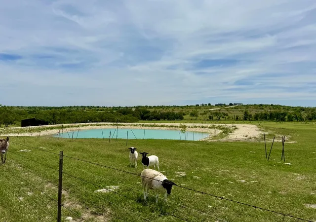 Homes for sale in Gustine, TX | 1313 County Road 266, Gustine, TX 76455 | MLS# 21267078