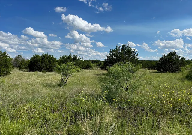 Homes for sale in Bangs, TX | 102 Sean Ln, Bangs, TX 76823 | MLS# 21267353