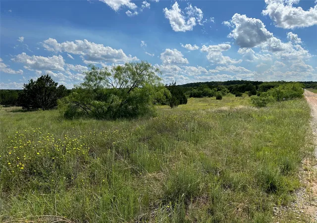 Homes for sale in Bangs, TX | 102 Sean Ln, Bangs, TX 76823 | MLS# 21267353