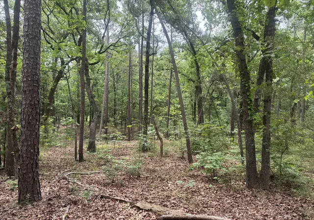 Photo 2 of Land for sale at 000 Cr 34980, Powderly, TX 75473 | MLS# 21266347 | Listing updated on 2026-08-19