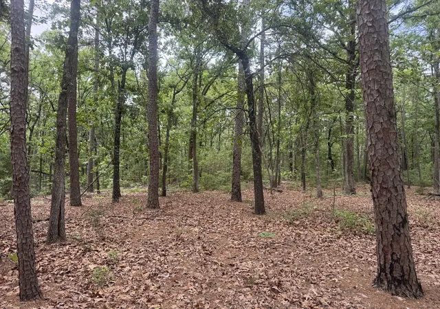 Photo 3 of Land for sale at 000 Cr 34980, Powderly, TX 75473 | MLS# 21266347 | Listing updated on 2026-08-19