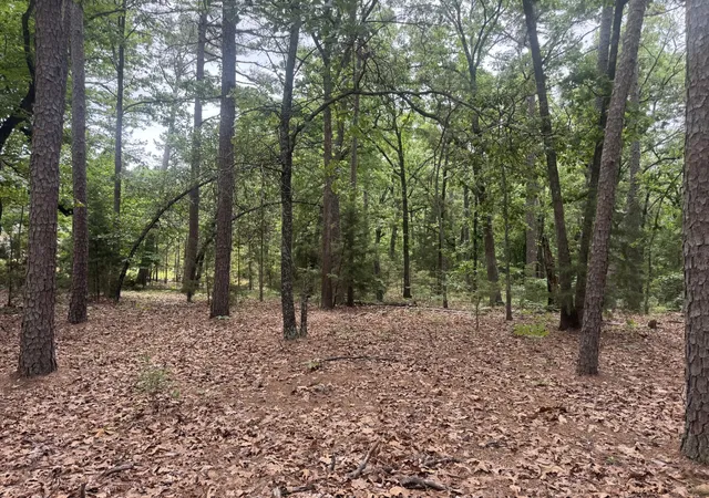 Photo 3 of Land for sale at 000 Cr 34980, Powderly, TX 75473 | MLS# 21266347 | Listing updated on 2026-08-19