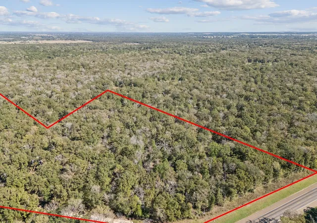 Homes for sale in Cayuga, TX | 00 N Us Hwy 287, Cayuga, TX 75148 | MLS# 21267794