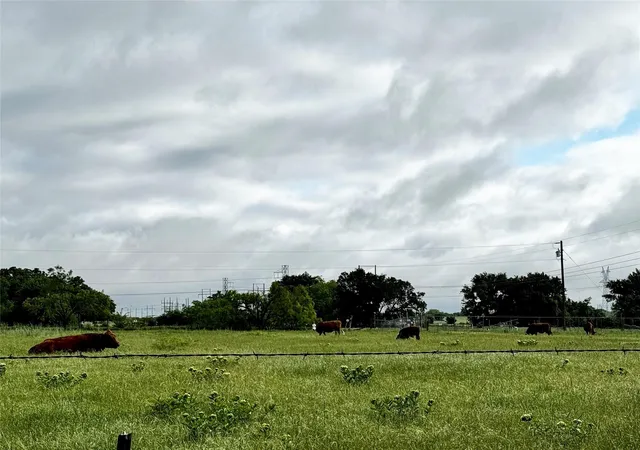 Photo 3 of Land for sale at 16 Acres Fm 1655 Cr-1460, Chico, TX 76431 | MLS# 21267866 | Listing updated on 2026-07-24