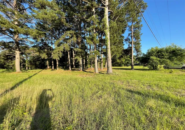 2nd image of 601 Cemetery Road Nw, Springhill, LA 71075 | MLS# 21267888