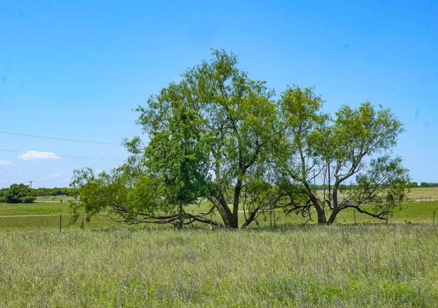Photo 3 of Sale Pending at 2092 Acres Hwy 281, Jacksboro, TX 76458 | MLS# 21268211 | Listing updated on 2026-08-27