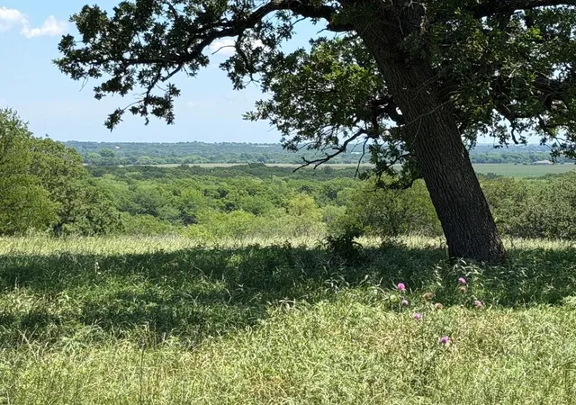 Photo 3 of Land for sale at 2041 Fm933, Aquilla, TX 76622 | MLS# 21268651 | Listing updated on 2026-08-22
