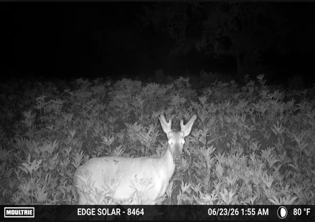 Photo 3 of Land for sale at 0000 County Road 2610, Bonham, TX 75418 | MLS# 21257205 | Listing updated on 2026-08-27