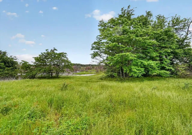Photo 3 of Land for sale at 0000 County Road 2610, Bonham, TX 75418 | MLS# 21257205 | Listing updated on 2026-08-27