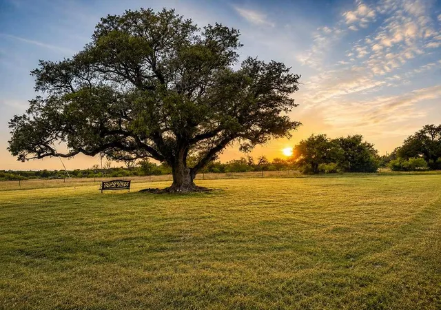 Photo 1 of Land for sale at Tbd County Road 96, Purmela, TX 76566 | MLS# 21264498 | Listing updated on 2026-07-21