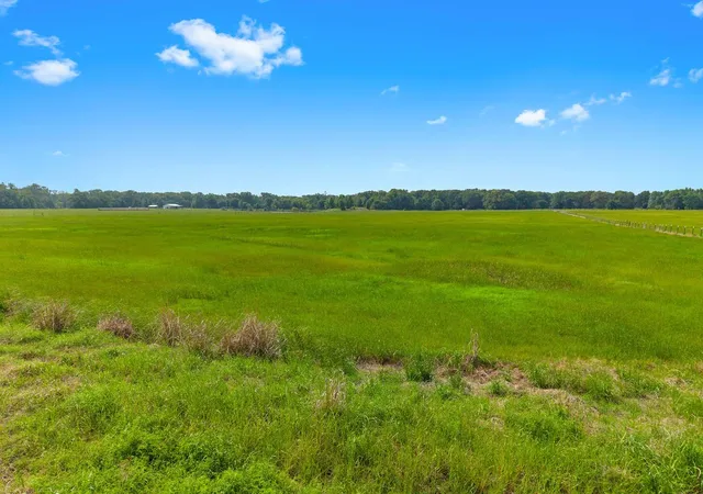 Photo 4 of Sale Pending at 269 Vz County Road 4305, Ben Wheeler, TX 75754 | MLS# 21269332 | Listing updated on 2026-08-28
