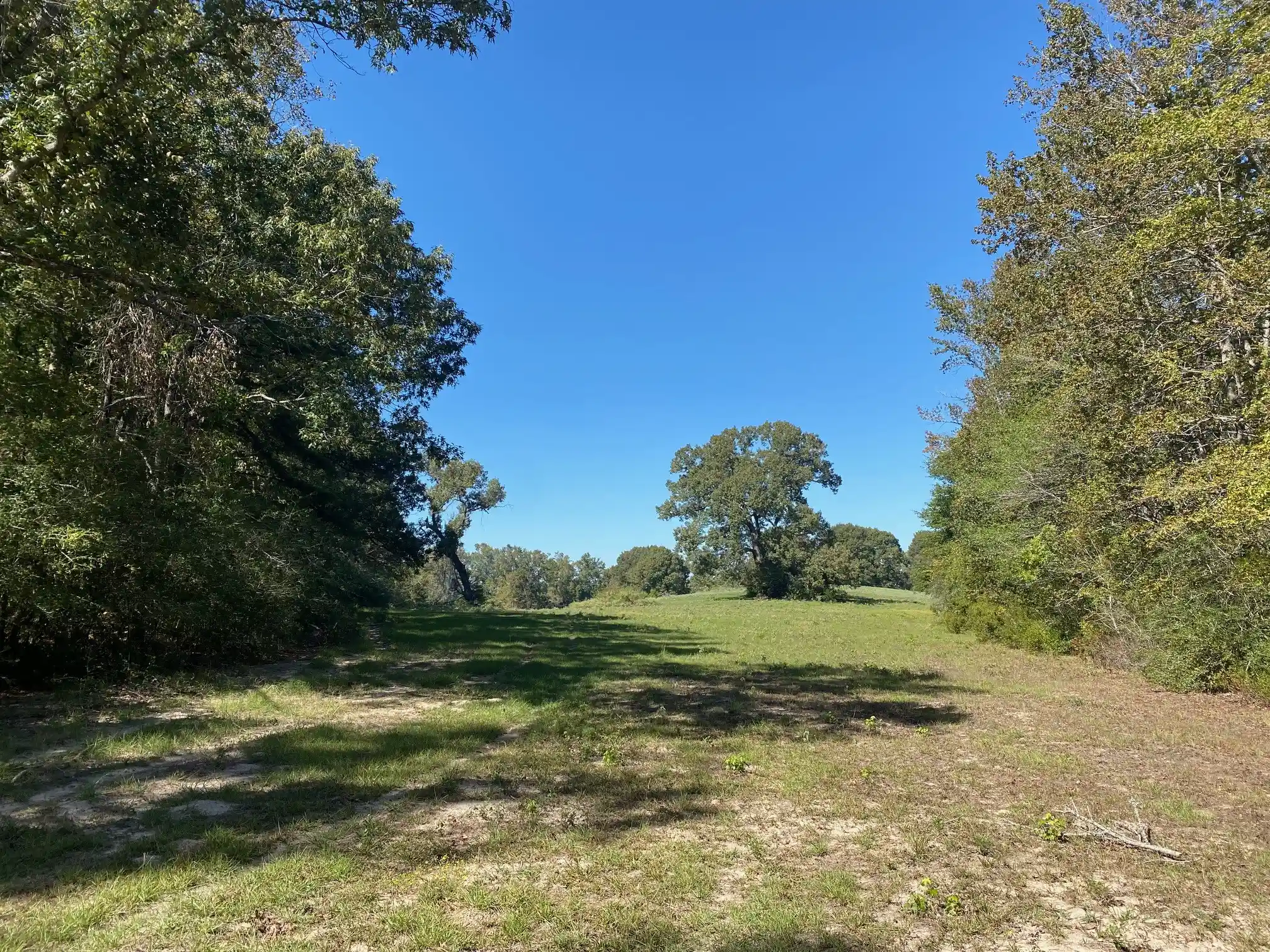 Photo 1 of Land for sale at Tbd 006 County Road 242, Oakwood, TX 75855 | MLS# 21269455 | Listing updated on 2026-05-14