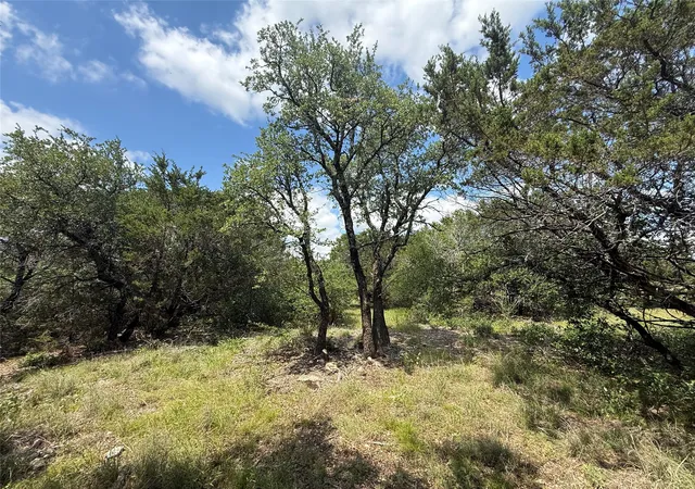 Homes for sale in Tolar, TX | 10151 Horizion View, Tolar, TX 76476 | MLS# 21267748