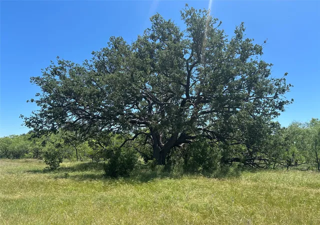 Photo 3 of Land for sale at 824 County Road 409, Talpa, TX 76882 | MLS# 21266972 | Listing updated on 2026-10-05