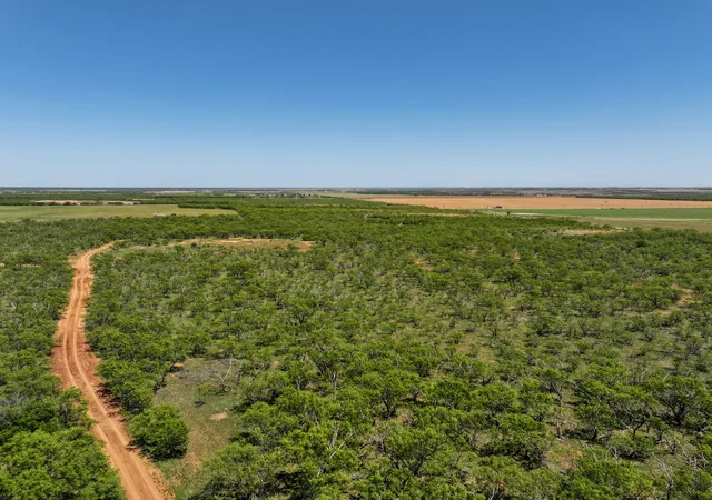 Homes for sale in Hawley, TX | Tbd Tract 1 Fm 1812, Hawley, TX 79525 | MLS# 21269869