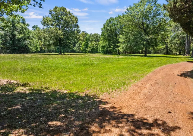 Homes for sale in Avinger, TX | 4469 County Road 1579, Avinger, TX 75630 | MLS# 21269948