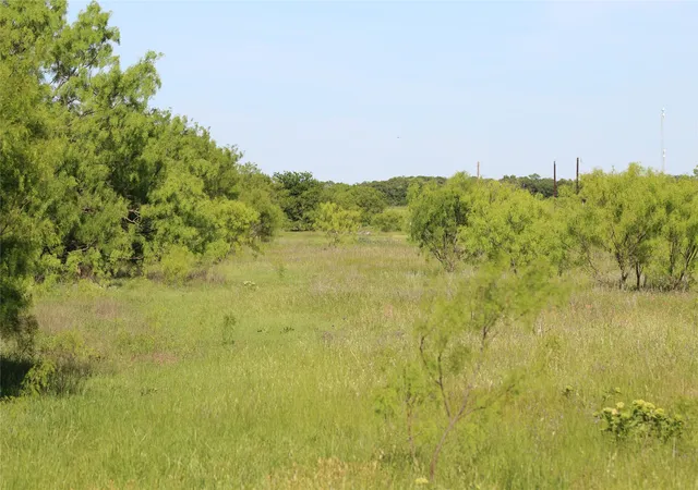 Homes for sale in Perrin, TX | 2077 A Shawver Rd, Perrin, TX 76486 | MLS# 21268500