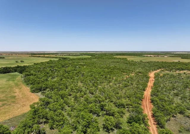 Homes for sale in Hawley, TX | Tbd Tract 8 Fm 1812, Hawley, TX 79525 | MLS# 21270302