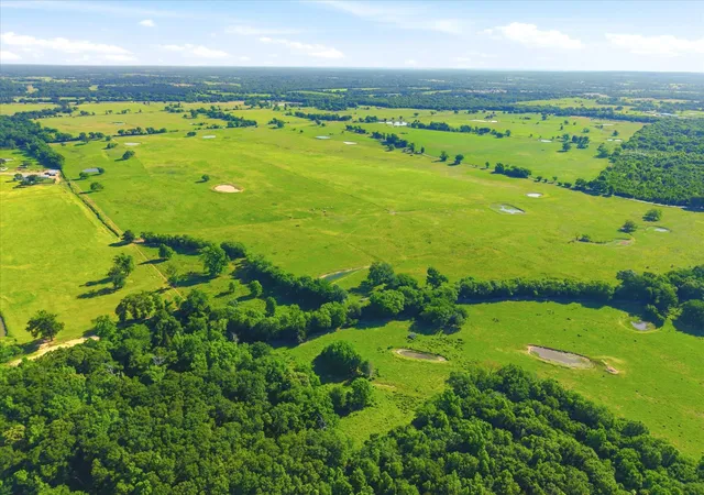 Photo 2 of Land for sale at Tbd Farm To Market 1995, Van, TX 75790 | MLS# 21261913 | Listing updated on 2026-09-15