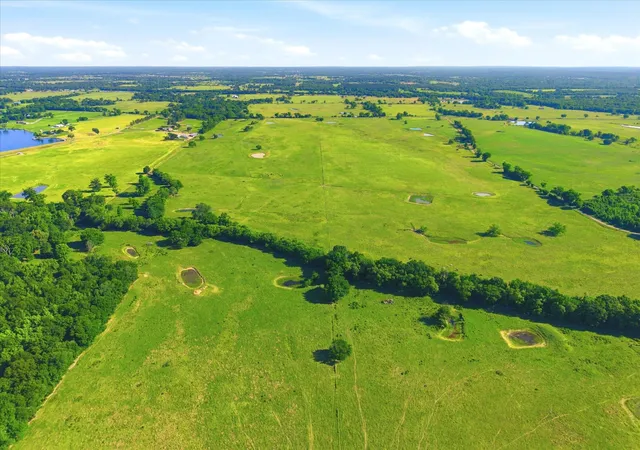 Photo 3 of Land for sale at Tbd Farm To Market 1995, Van, TX 75790 | MLS# 21261913 | Listing updated on 2026-09-15