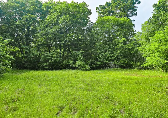 Photo 3 of Land for sale at 0 Tbd W Cathy St, Lone Star, TX 75668 | MLS# 21270603 | Listing updated on 2026-07-20