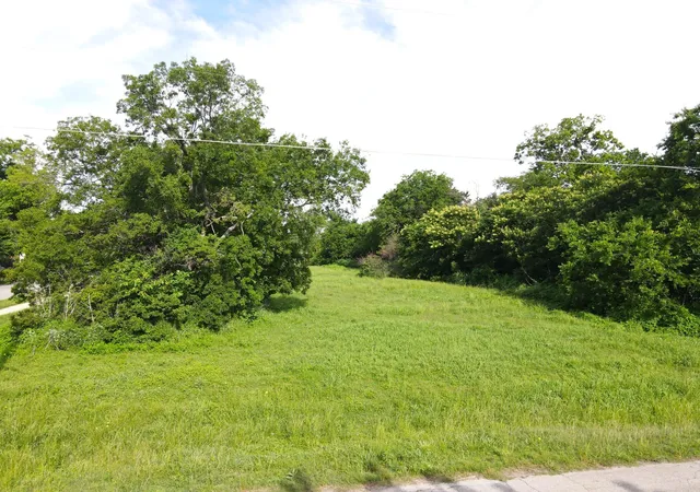 Homes for sale in Terrell, TX | 0 S Frances St, Terrell, TX 75160 | MLS# 21270770