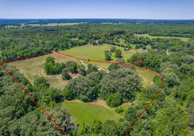 Photo 3 of Single family home for sale at 115 County Road 3302, Omaha, TX 75571 | MLS# 21260929 | Listing updated on 2026-09-28