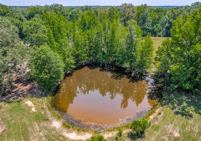 Photo 3 of Single family home for sale at 115 County Road 3302, Omaha, TX 75571 | MLS# 21260929 | Listing updated on 2026-09-28
