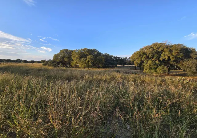 Homes for sale in Oglesby, TX | 317 Yellowstone Dr, Oglesby, TX 76561 | MLS# 21271431