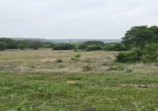 Homes for sale in Oglesby, TX | Tbd Yosemite Dr, Oglesby, TX 76561 | MLS# 21271471