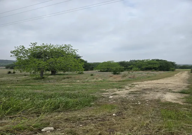 Homes for sale in Oglesby, TX | Tbd Yosemite Dr, Oglesby, TX 76561 | MLS# 21271471