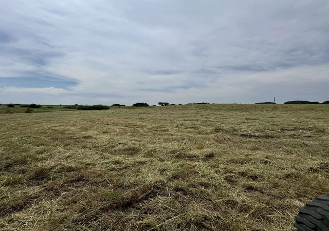 Homes for sale in Oglesby, TX | 318 Grand Canyon Dr, Oglesby, TX 76561 | MLS# 21271393