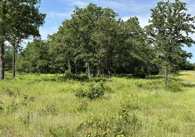 Homes for sale in Perrin, TX | Lot 79 Paradise Oaks, Perrin, TX 76486 | MLS# 21270414