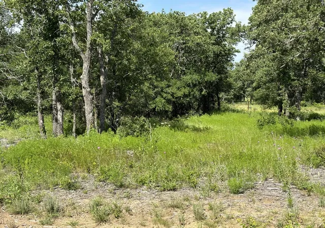 Homes for sale in Perrin, TX | Lot 79 Paradise Oaks, Perrin, TX 76486 | MLS# 21270414