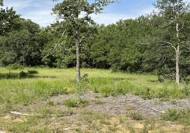 Homes for sale in Perrin, TX | Lot 79 Paradise Oaks, Perrin, TX 76486 | MLS# 21270414