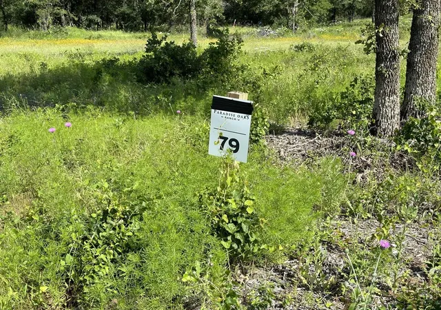 Homes for sale in Perrin, TX | Lot 79 Paradise Oaks, Perrin, TX 76486 | MLS# 21270414