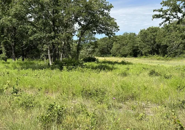Homes for sale in Perrin, TX | Lot 79 Paradise Oaks, Perrin, TX 76486 | MLS# 21270414